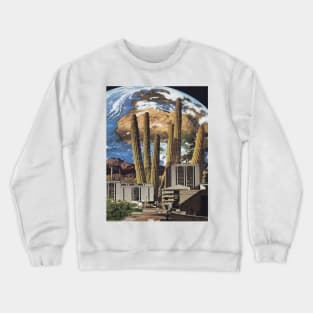 Terra Collossal Crewneck Sweatshirt